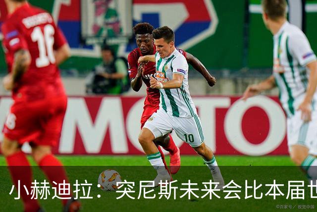 小赫迪拉：突尼斯未来会比本届世界杯更好 批评？我已经付出全力